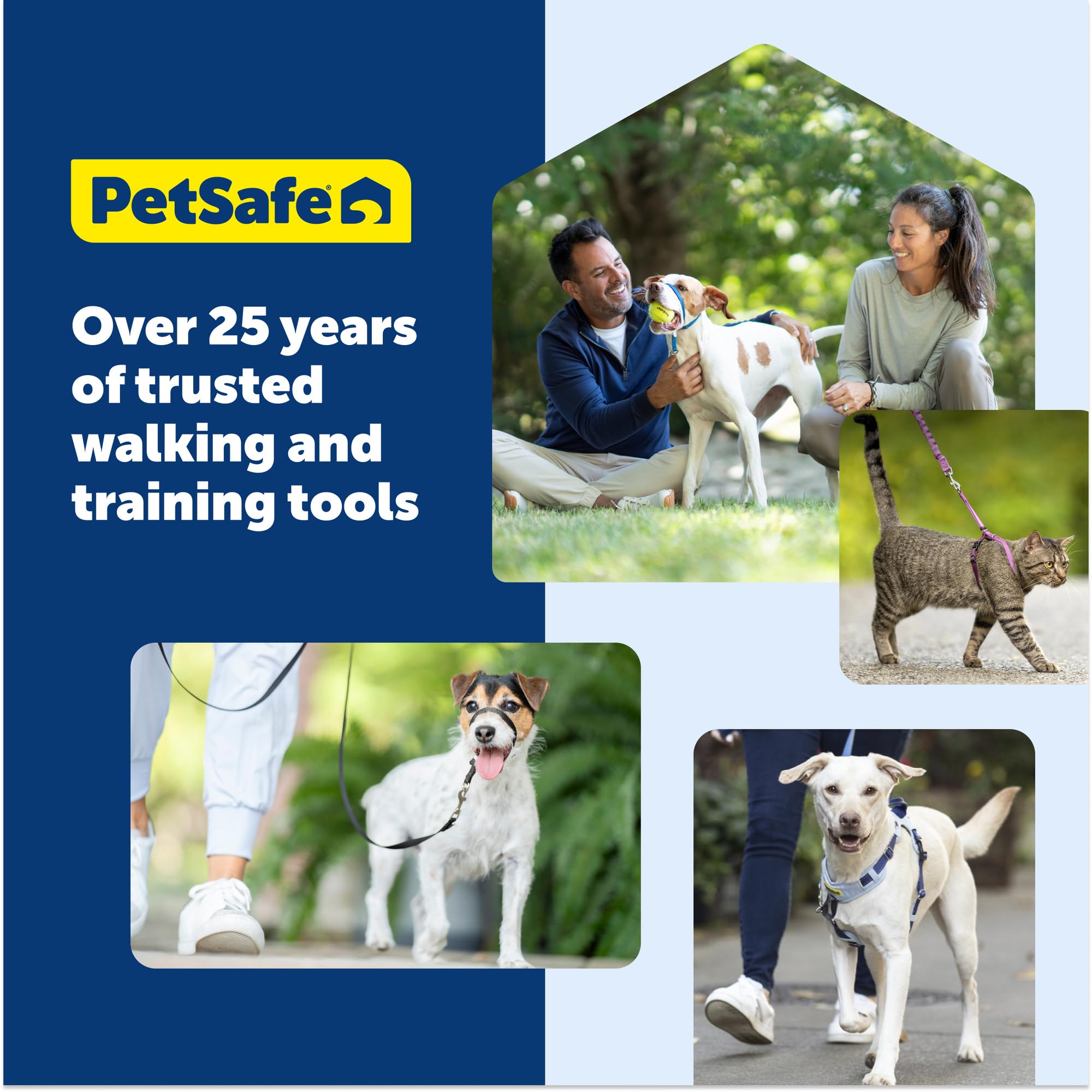 PetSafe harnais en situation de promenade sécurité et aisance