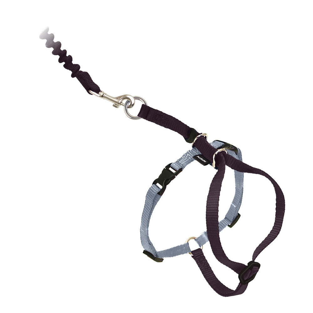 PetSafe harnais face avant montrant maintien sûr et design ergonomique