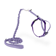 PetSafe harnais vue de face montrant ajustement et confort