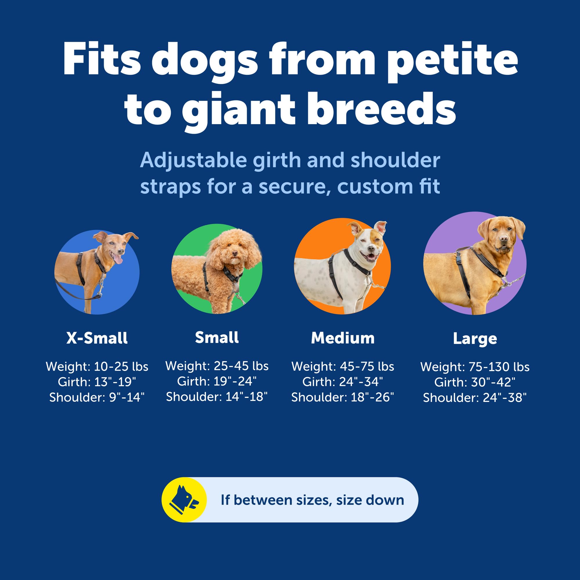 PetSafe rembourrage et matériaux doux pour confort prolongé du chien