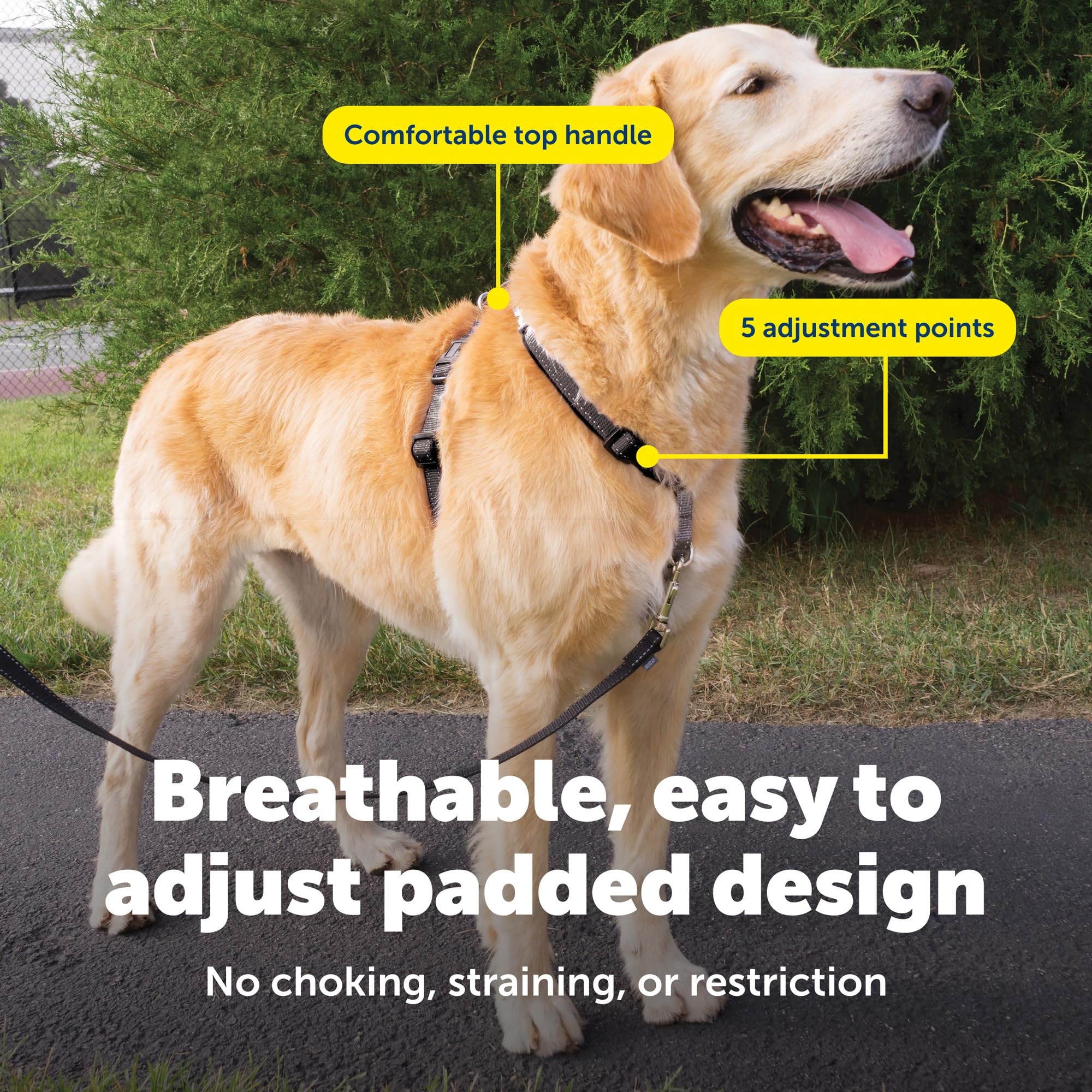 PetSafe poignée supérieure facile à saisir offrant contrôle rapide et sécurité