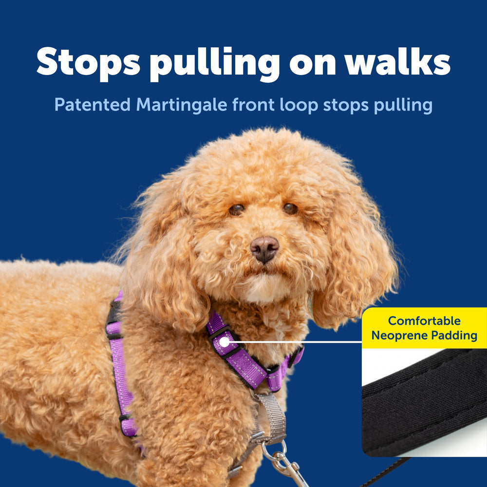 PetSafe harnais poignée supérieure pour contrôle rapide et saisie facile
