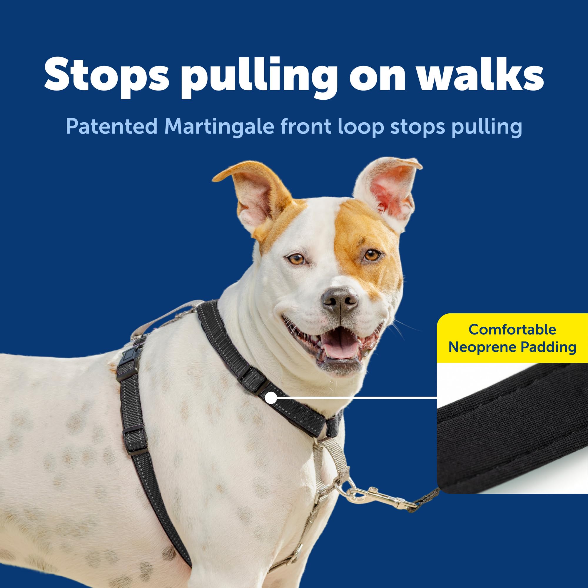 PetSafe attache avant anti-traction pour promenade plus calme