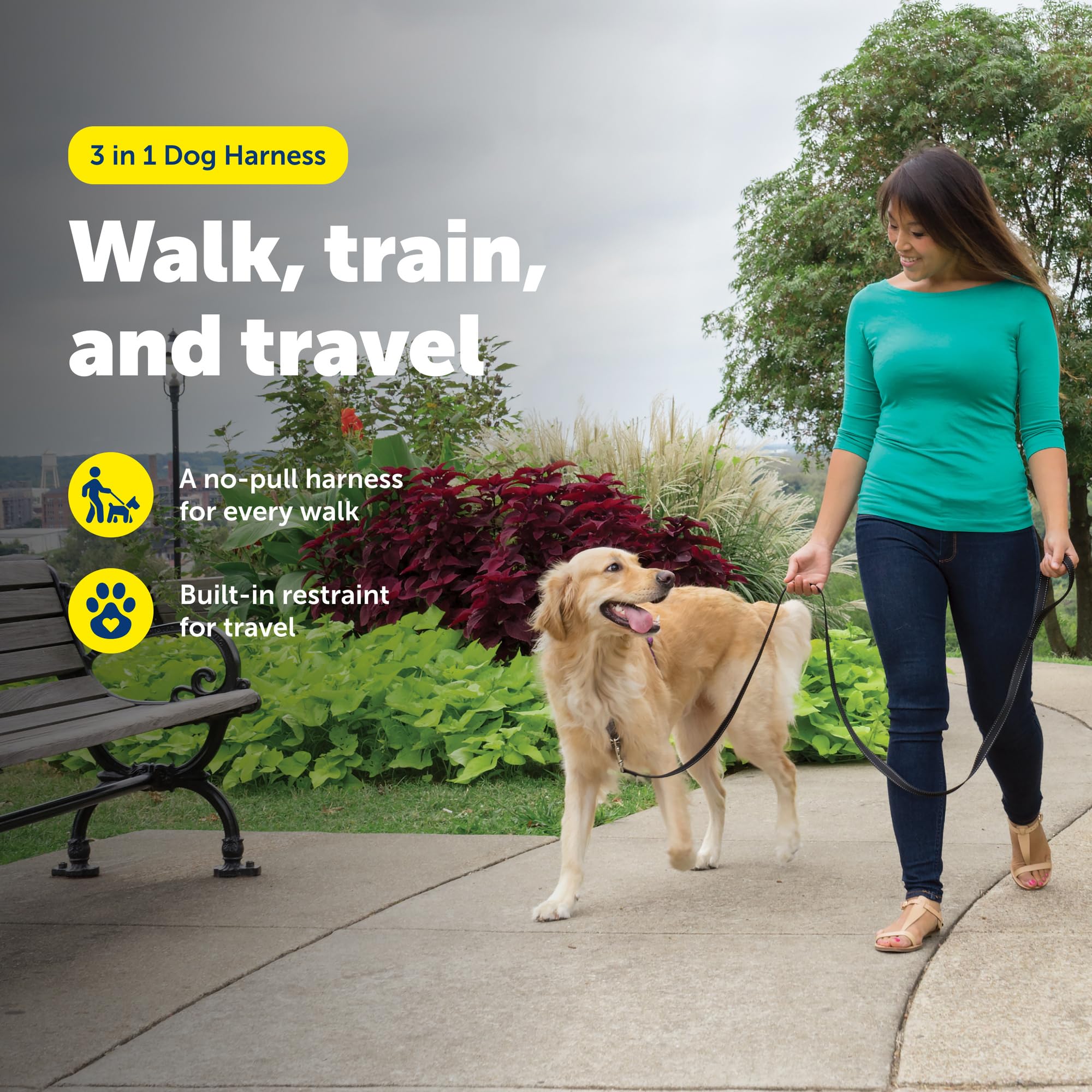 PetSafe détail de l'attache avant pour réduire les tiraillements et calmer la traction