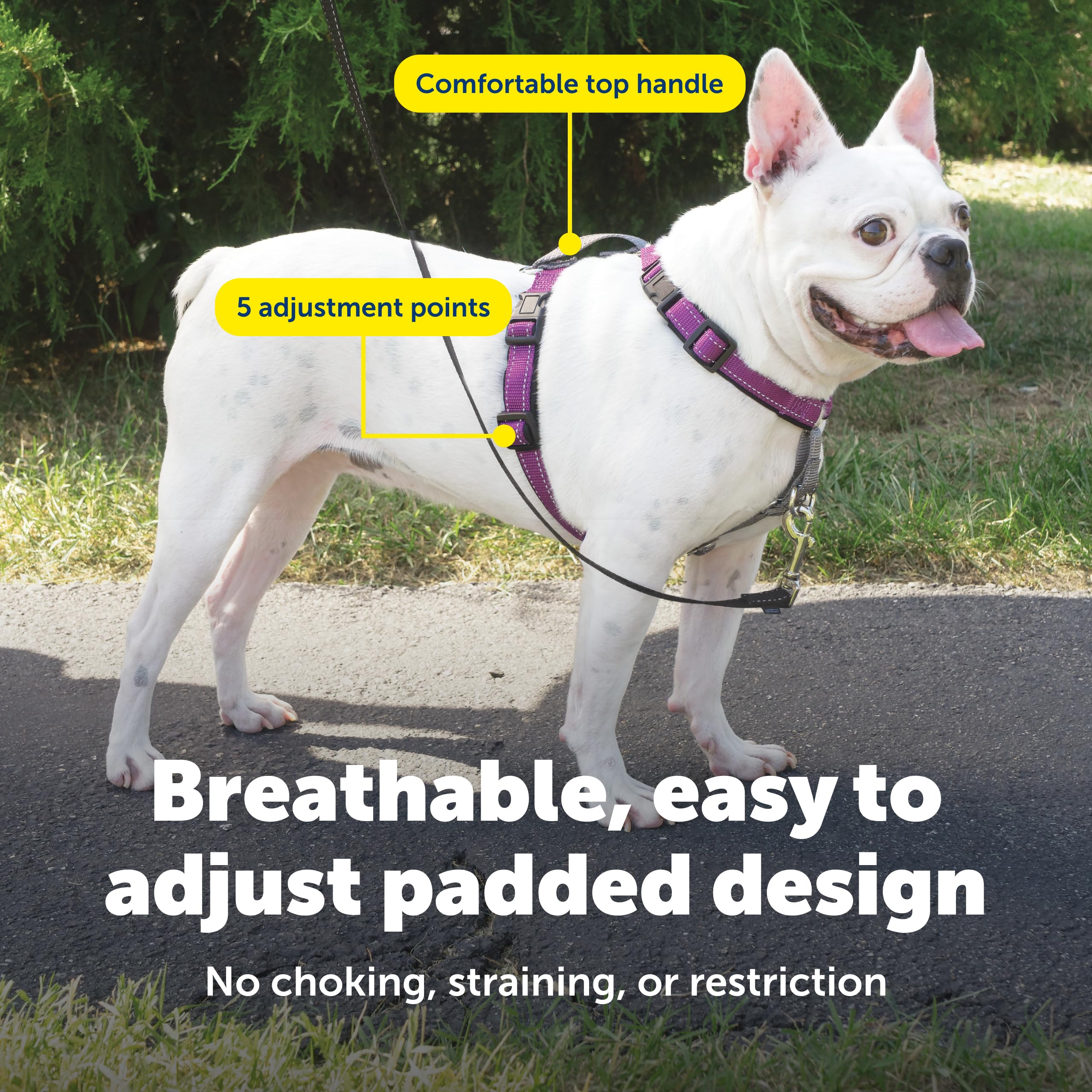 PetSafe harnais bandes réfléchissantes augmentant la visibilité nocturne