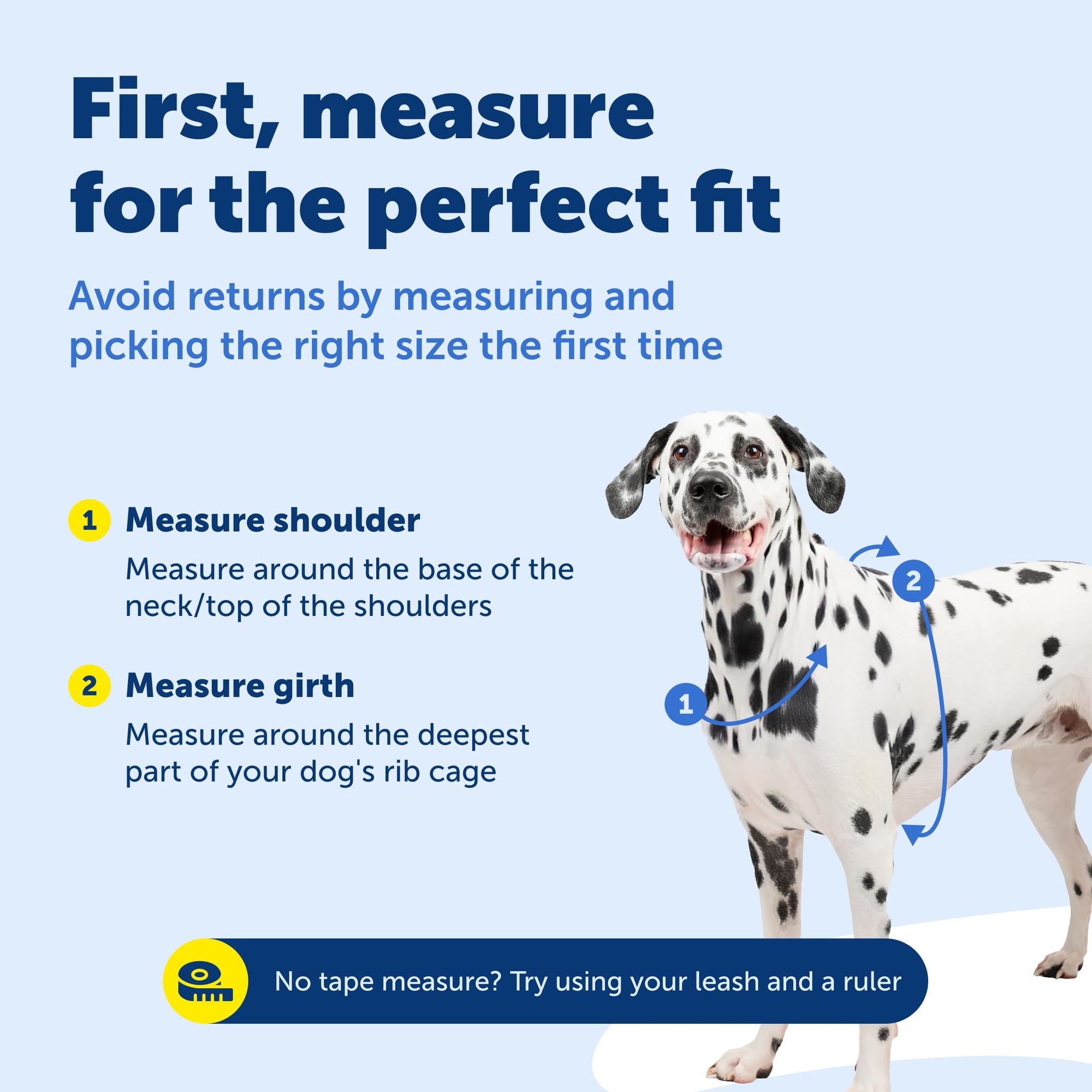 PetSafe accents réfléchissants augmentant la visibilité lors des courses nocturnes