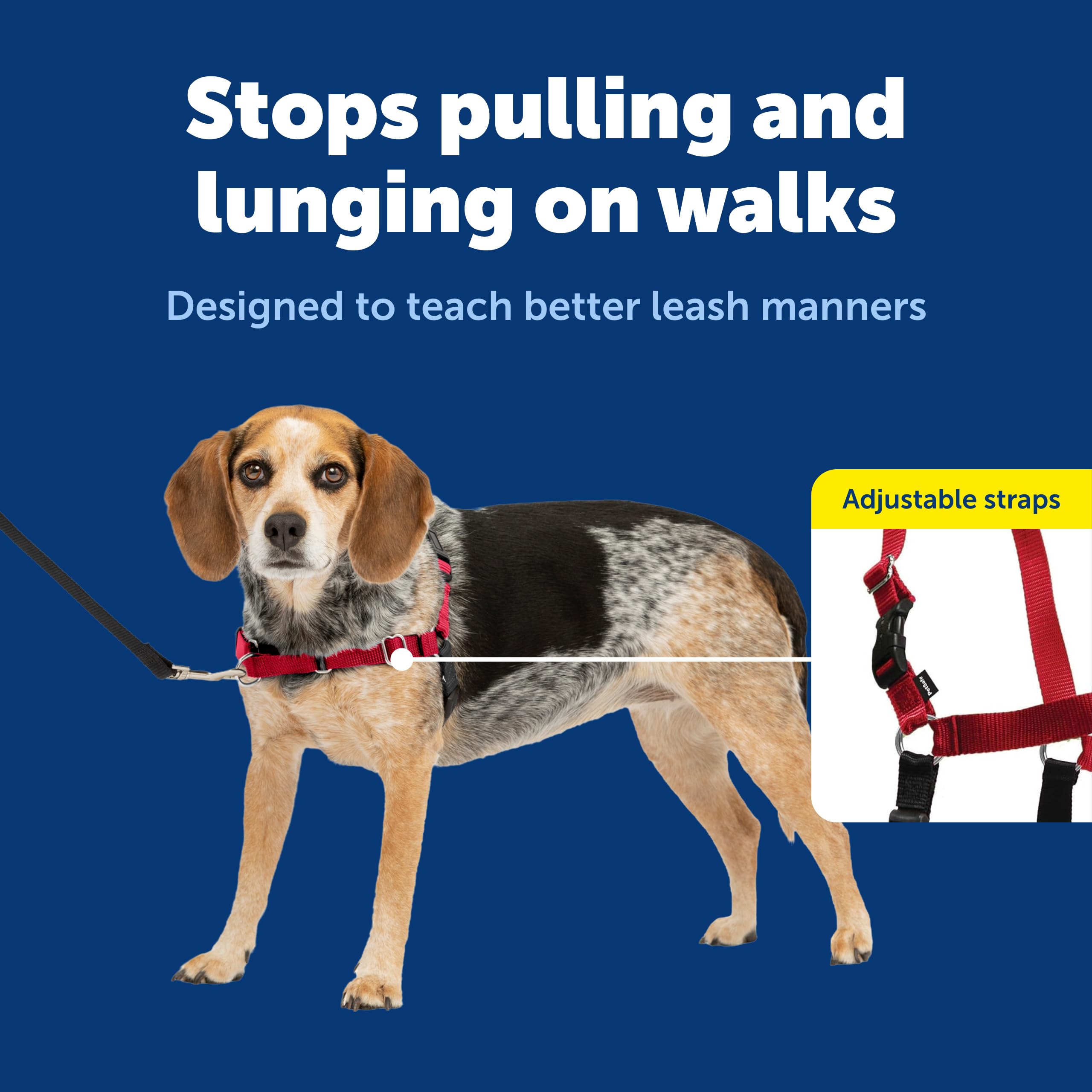 PetSafe sangles réglables couleur identifiée pour ajustement rapide