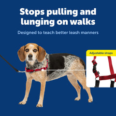 PetSafe sangles réglables couleur identifiée pour ajustement rapide
