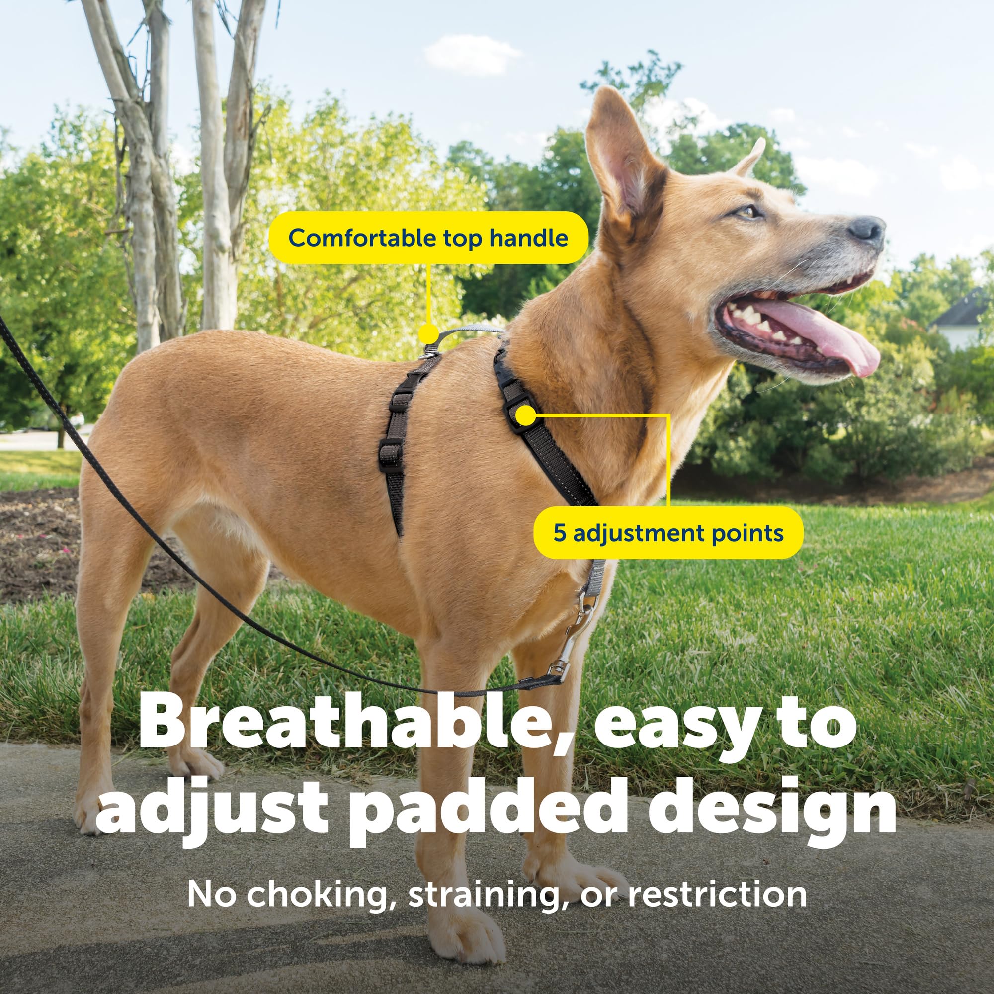 PetSafe rembourrage doux protégeant la poitrine du chien