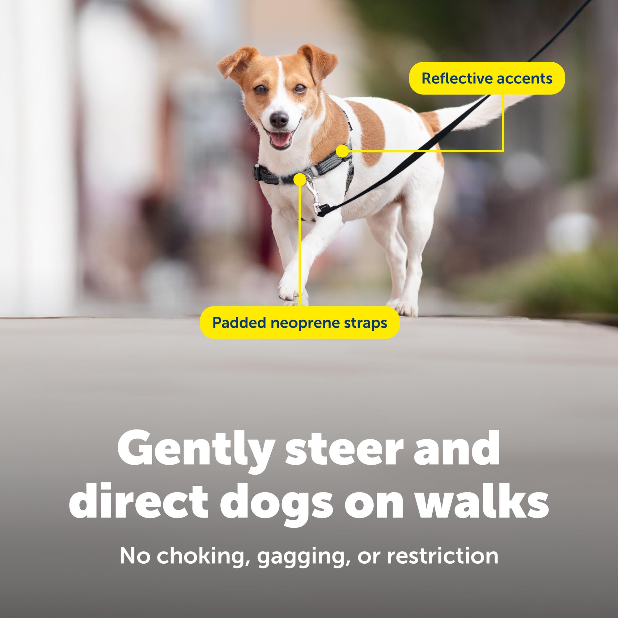 PetSafe harnais bandes réfléchissantes pour visibilité nocturne