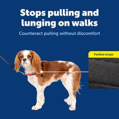PetSafe harnais clips rapides pour un enfilage facile