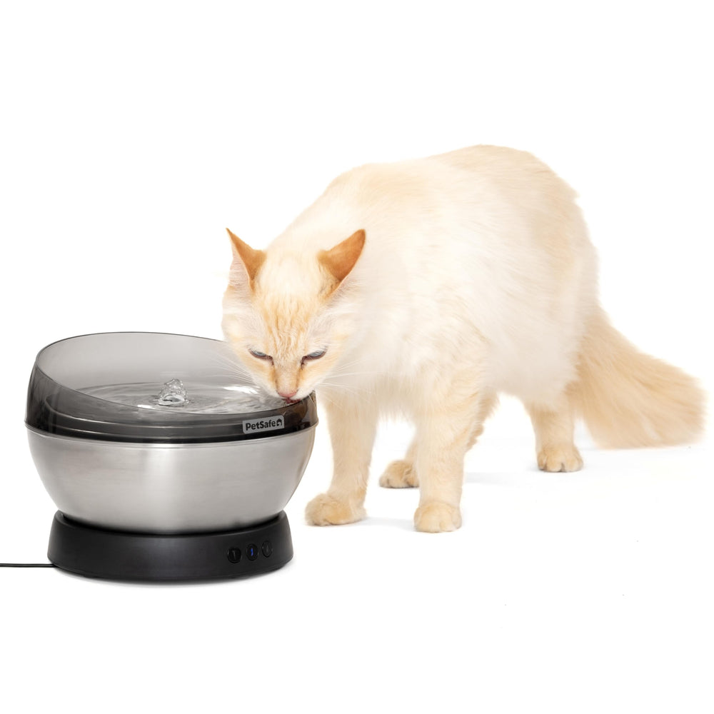 PetSafe HydroSphere face avant montrant le design hygiénique et attrayant