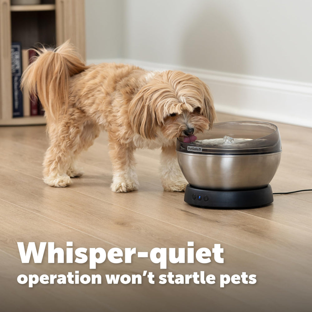 Cartouche Ion-X PetSafe montrant filtration pour un meilleur goût