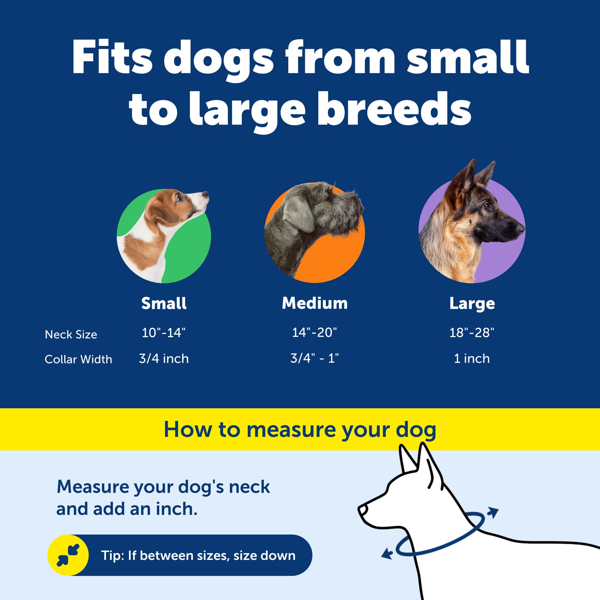 PetSafe comparaison de taille indiquant ajustement pour chiens moyens
