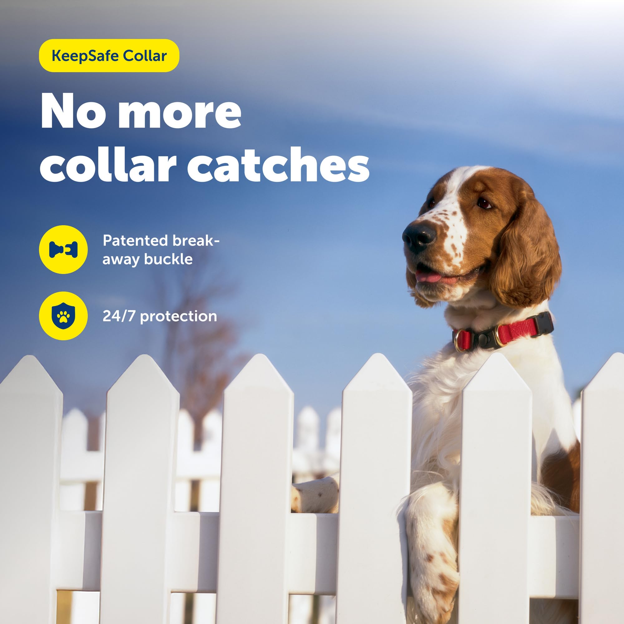 PetSafe boucle Break-Away gros plan pour libération et sécurité rapide