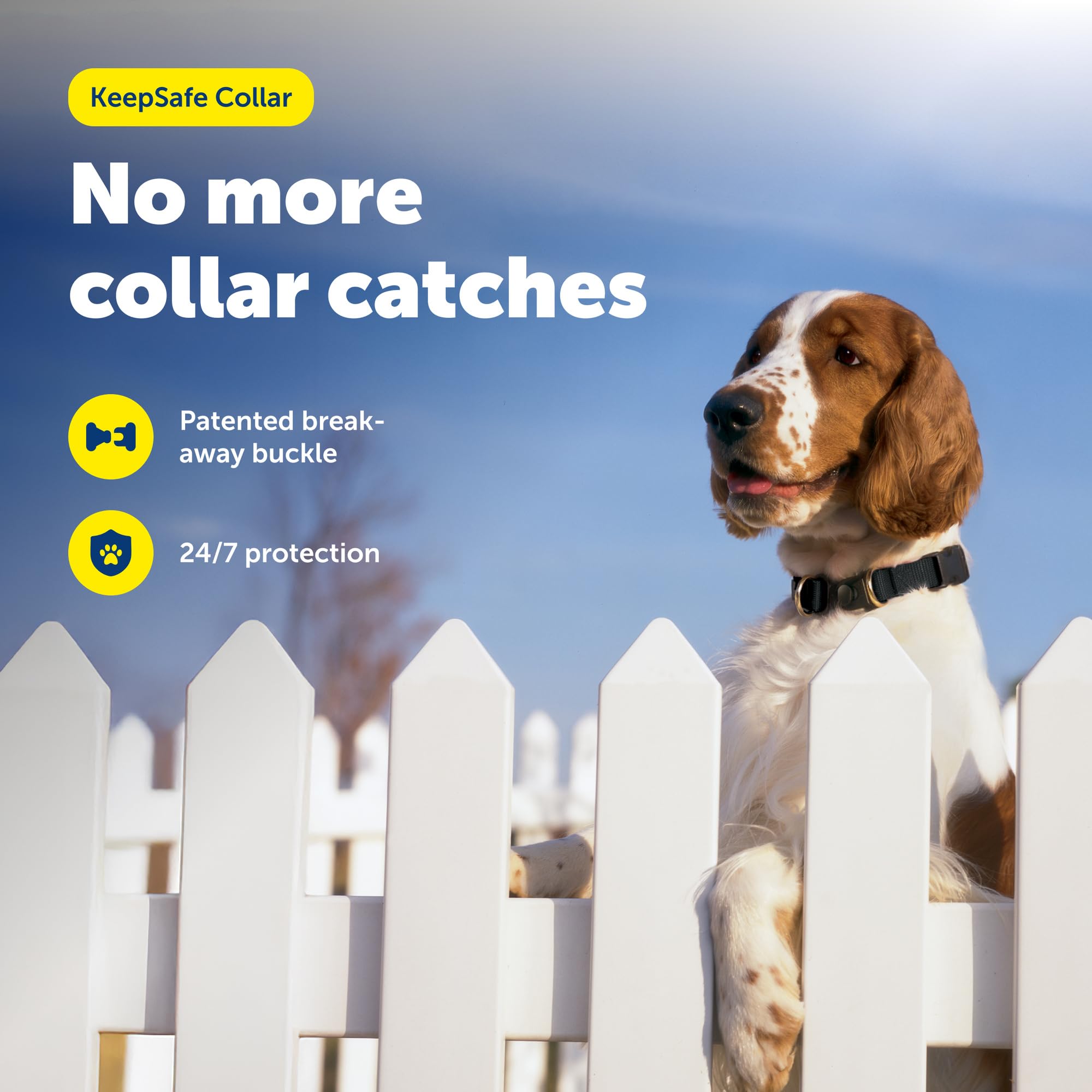 PetSafe boucle break-away gros plan, sécurité rapide en cas d’accrochage