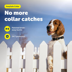 PetSafe gros plan de la boucle break-away pour libération sûre