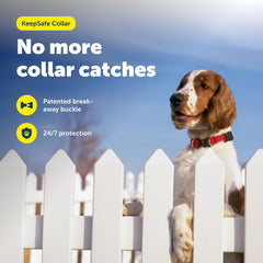 PetSafe boucle Break-Away gros plan pour libération et sécurité rapide