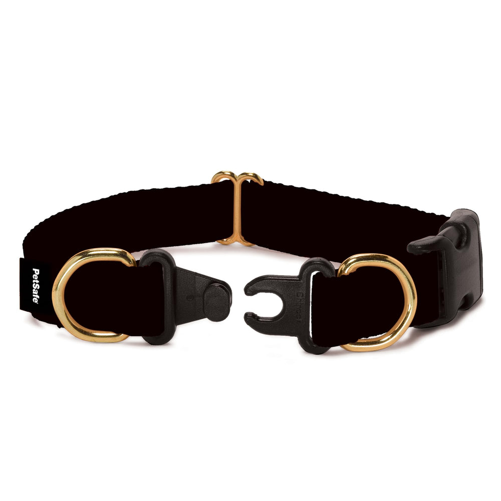 PetSafe collier face avant noir montrant design et sécurité