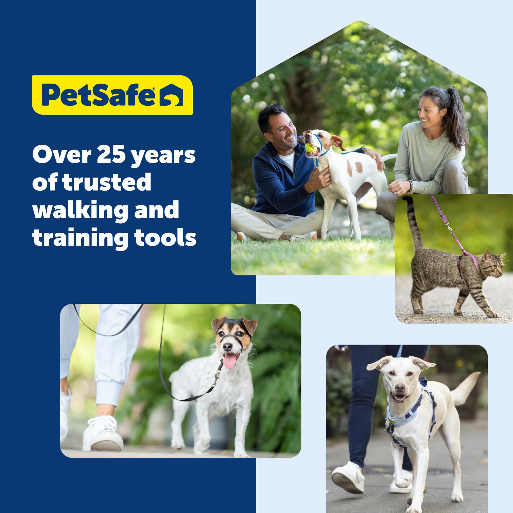 PetSafe collier en parc pendant jeux réduisant risques d'accrochage