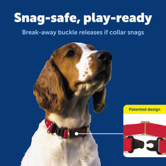 PetSafe texture du collier montrant matière résistante et anti-décoloration