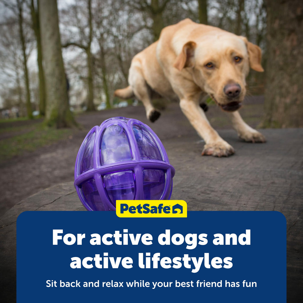 PetSafe comparaison taille pour chiens medium/large facile à visualiser