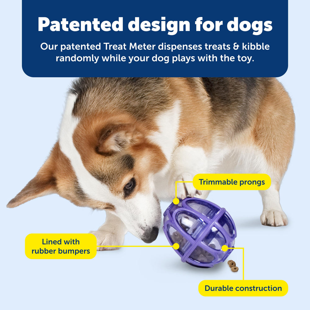 PetSafe jouet en usage avec chien offrant activité et ralentissement alimentaire