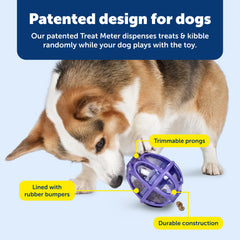 PetSafe jouet en usage avec chien offrant activité et ralentissement alimentaire