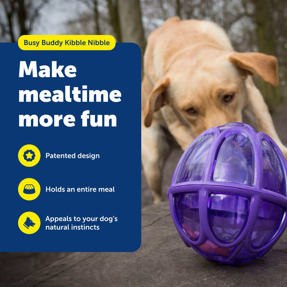 PetSafe jouet ouvert pour montrer remplissage simple et rangement rapide