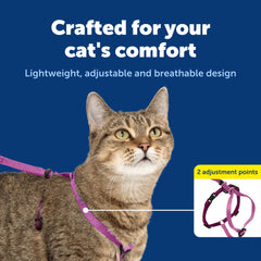 PetSafe laisse bungee élastique absorbant les secousses