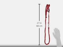 PetSafe laisse bungee en action amortissant les tiraillements