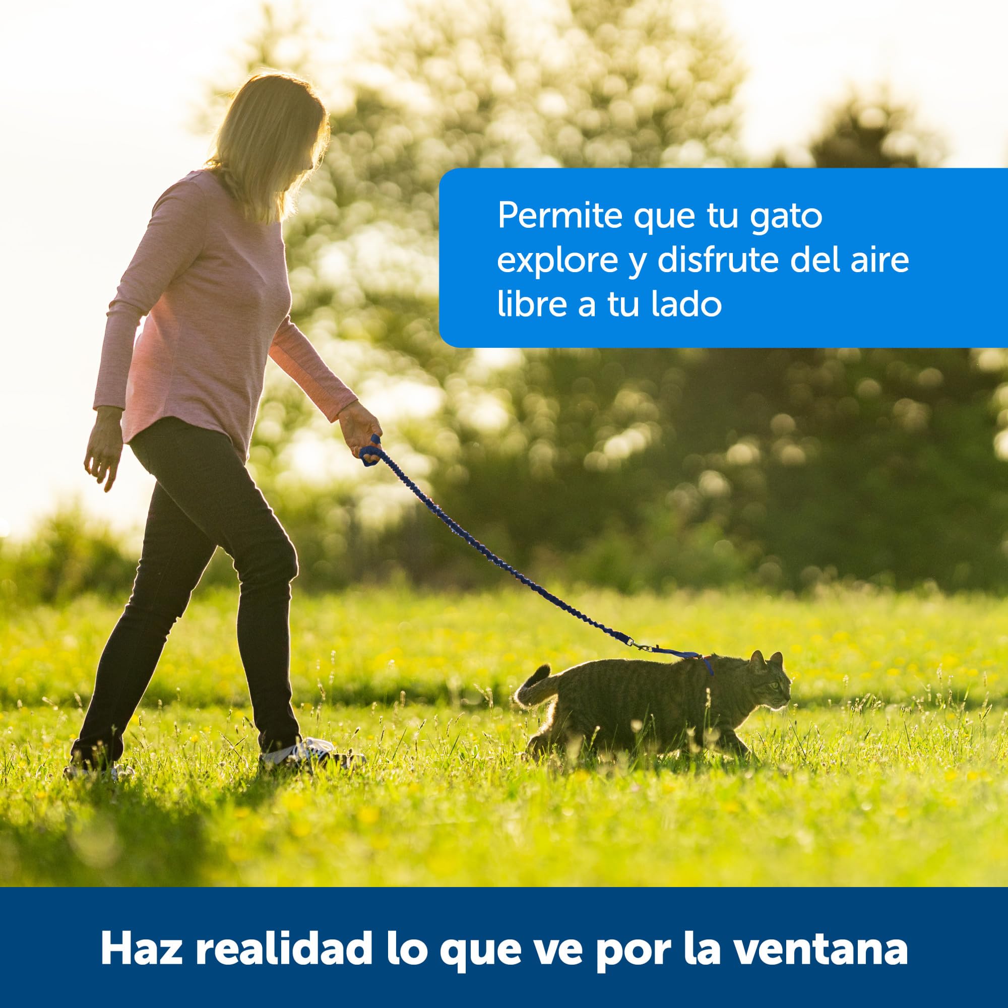 PetSafe laisse bungee en extension absorbant à-coups pour promenades douces