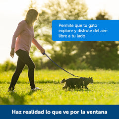 PetSafe laisse bungee en extension absorbant à-coups pour promenades douces