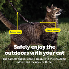 PetSafe laisse bungee entière absorbant les à-coups pour promenades plus douces