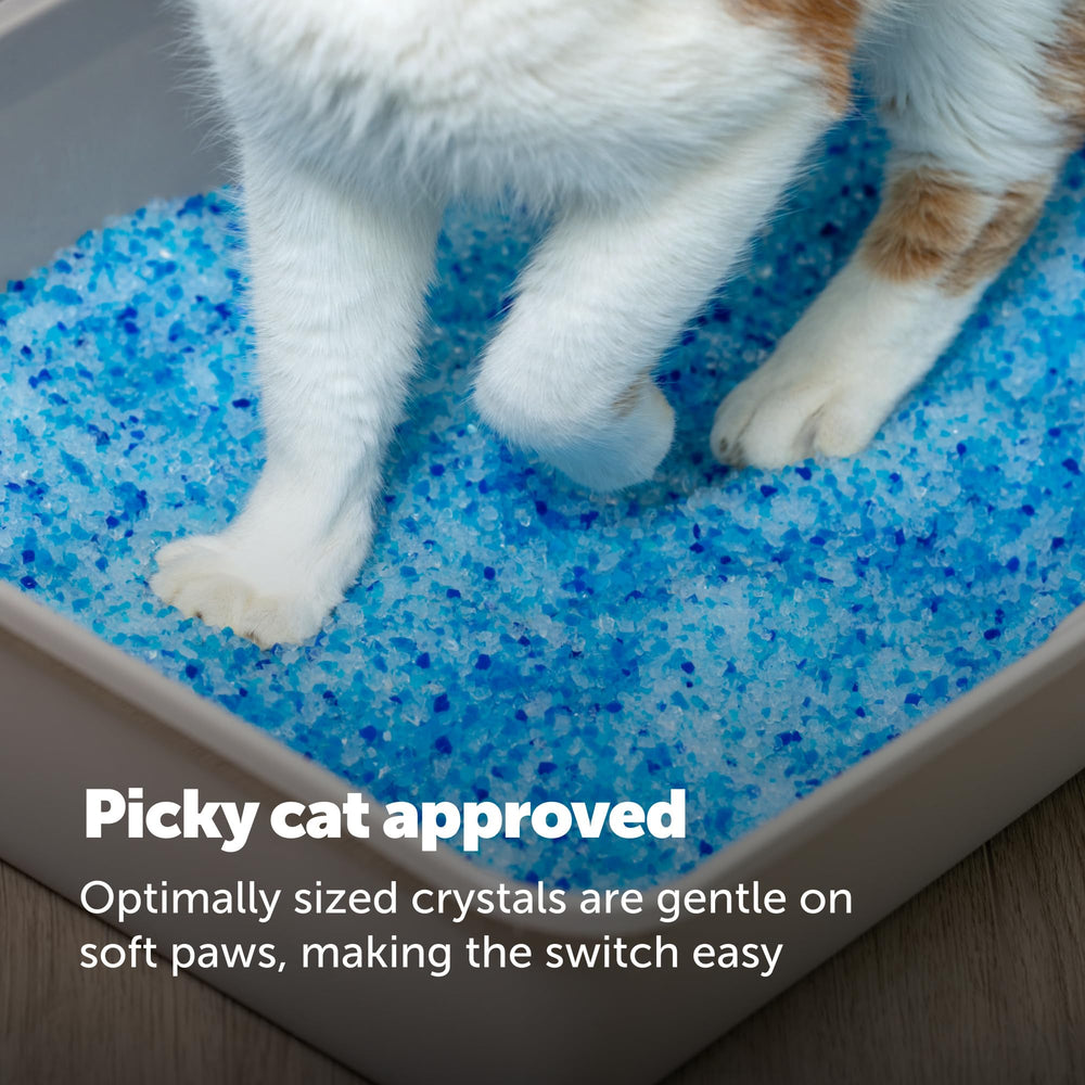 PetSafe scène lifestyle cuisine propre démontrant faible traînée