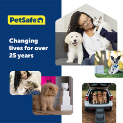 PetSafe gros plan du webbing résistant montrant durabilité et confort