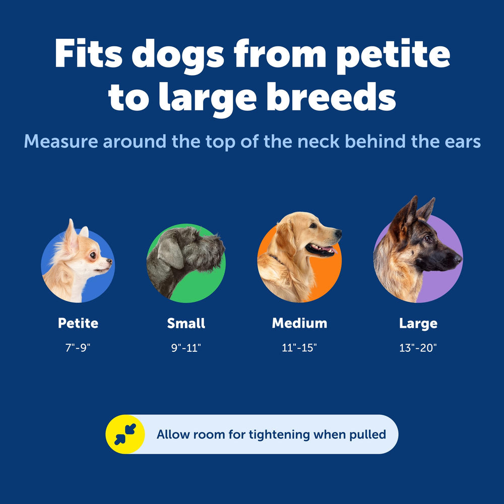 PetSafe collier à côté d'un mètre pour choisir la bonne taille