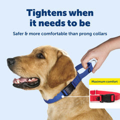 PetSafe gros plan nylon durable pour confort et longévité
