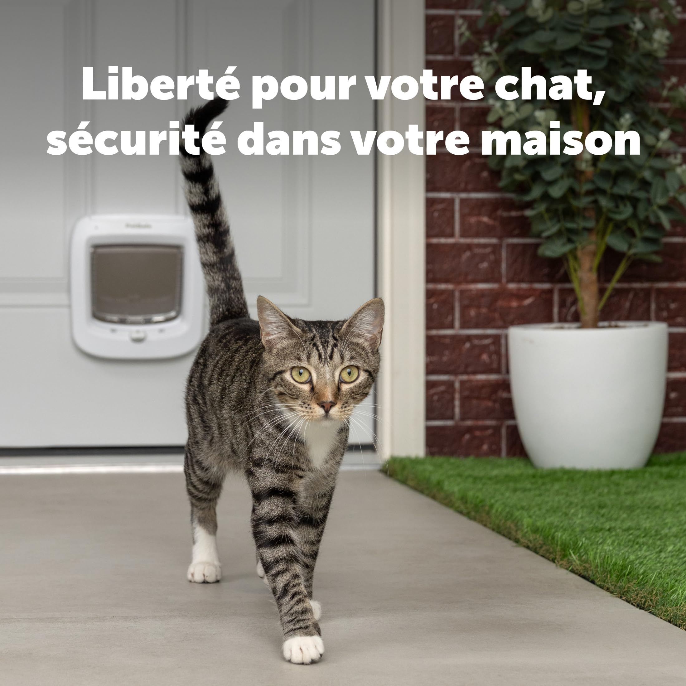 PetSafe gros plan du verrou 4 positions garantissant contrôle d'accès