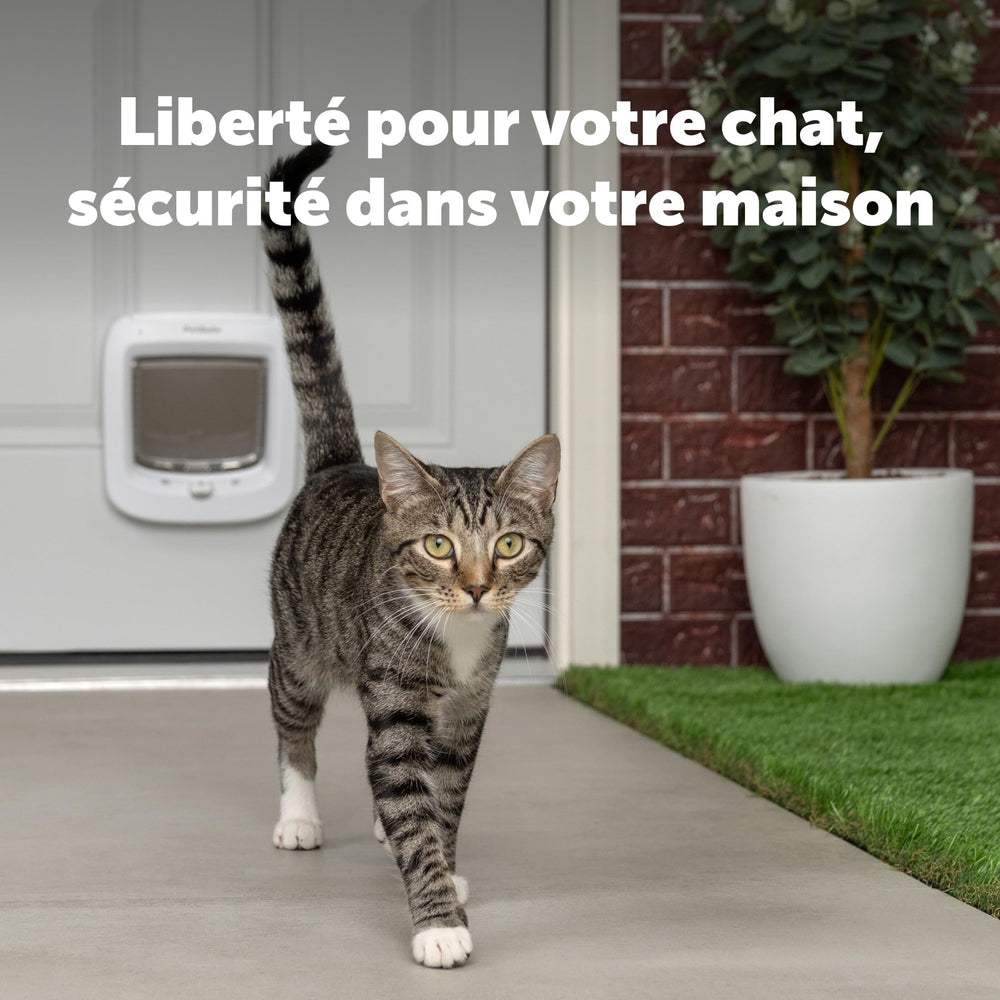 PetSafe gros plan du verrou 4 positions garantissant contrôle d'accès