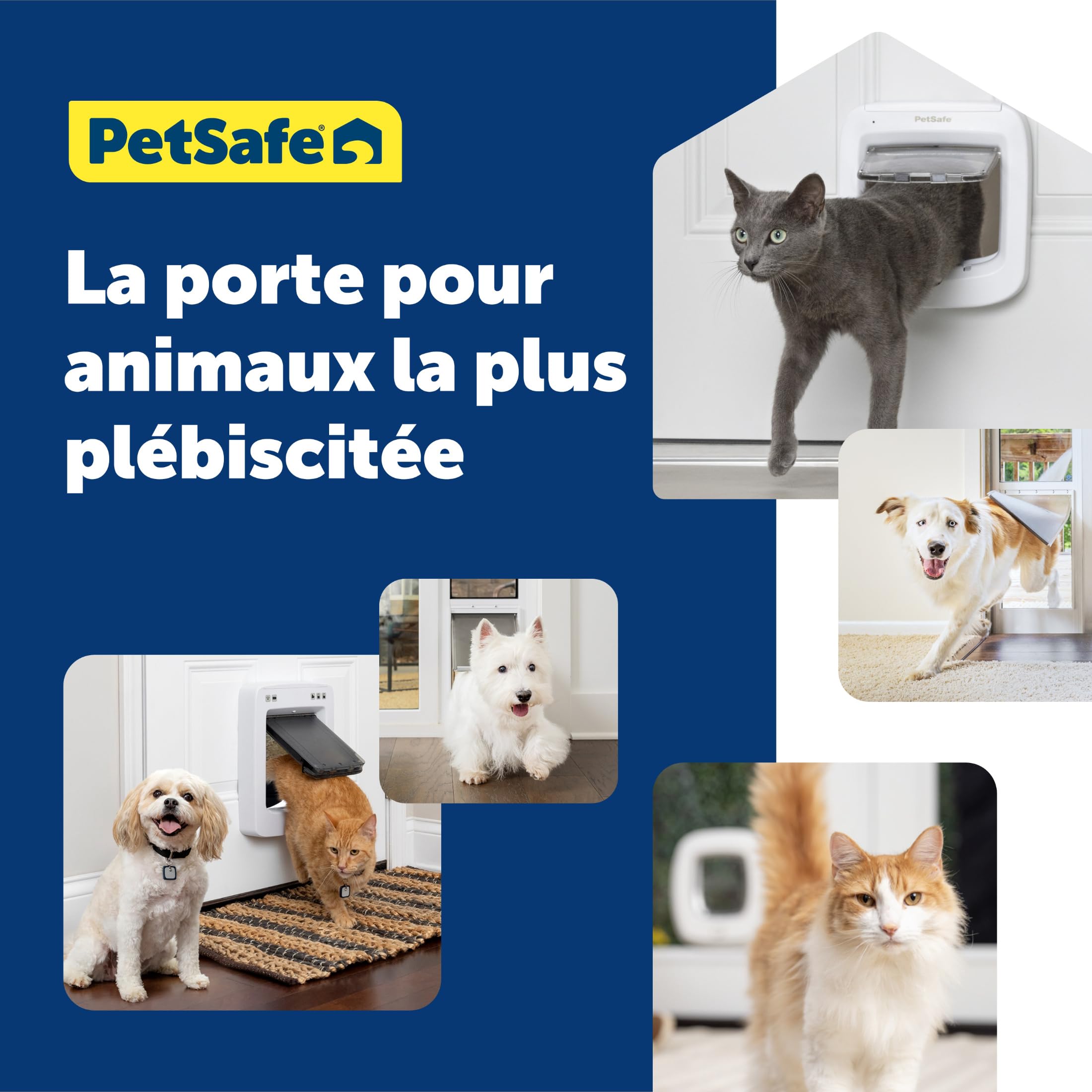 PetSafe indicateur de piles signalant quand remplacer batteries