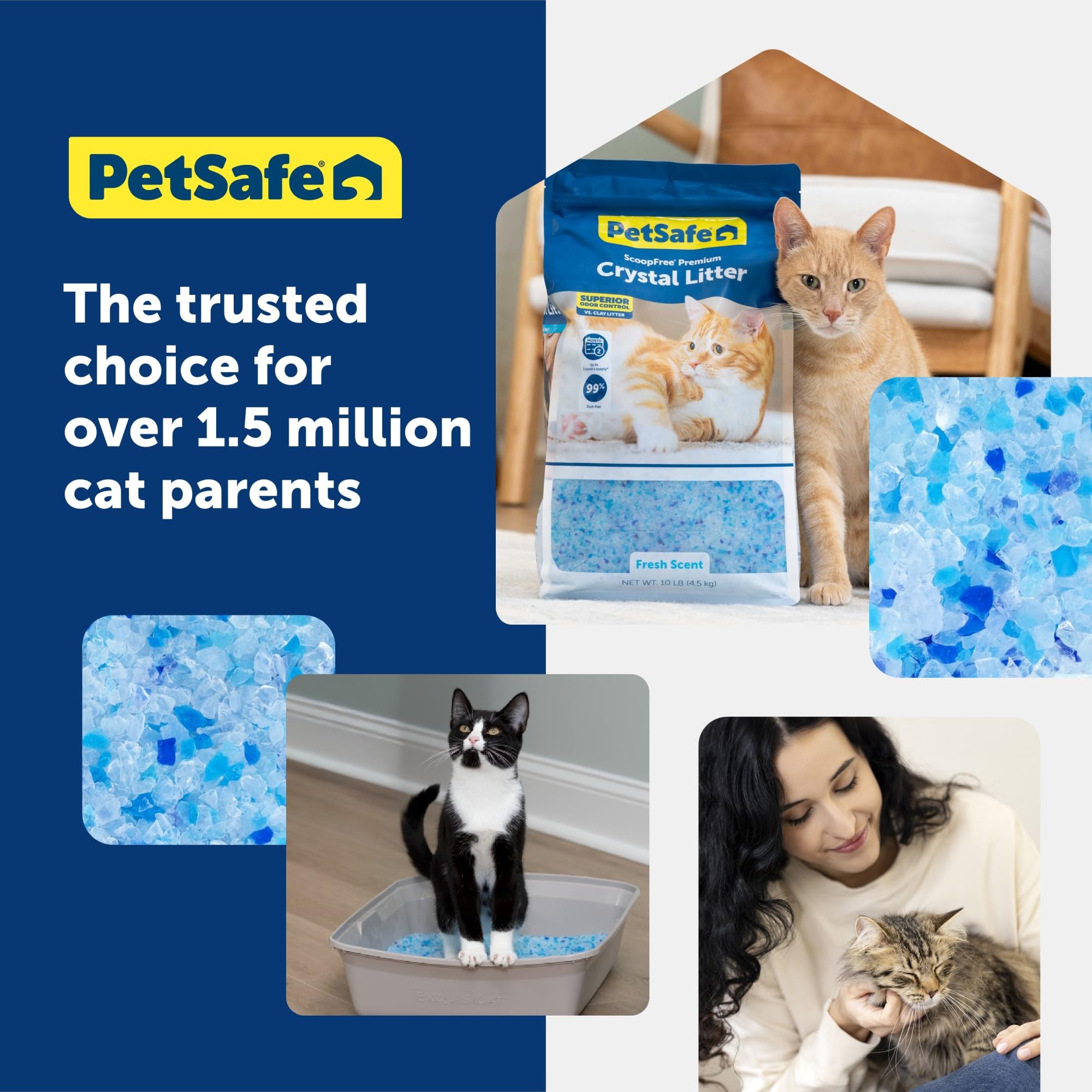 PetSafe insertion du bac réutilisable dans une litière ScoopFree compatible