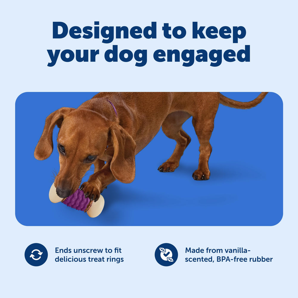 PetSafe centre du jouet tartiné de beurre de cacahuète pour jeu prolongé