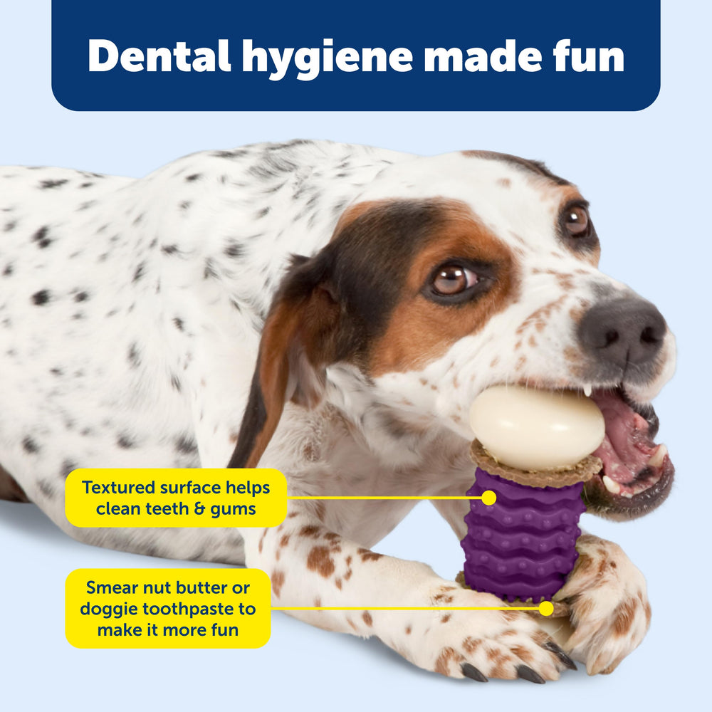 PetSafe détail anneau d’extrémité tenant une friandise, encourage mastication