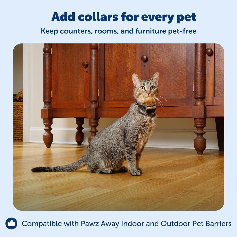 PetSafe collier porté par un chat protégeant meubles et comptoirs