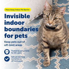 PetSafe collier détail des contacts et réglages garantissant un ajustement sûr