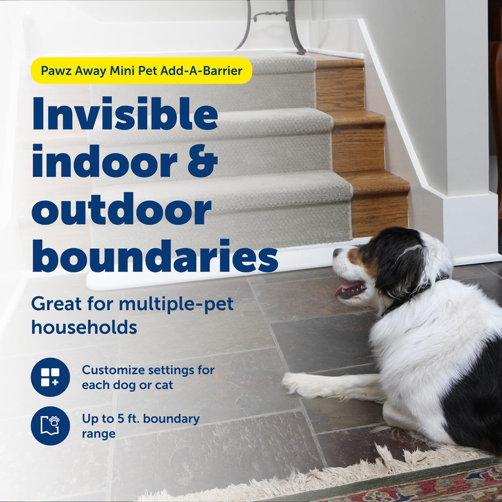 PetSafe Pawz Away gros plan profil affichant la construction robuste et fiable