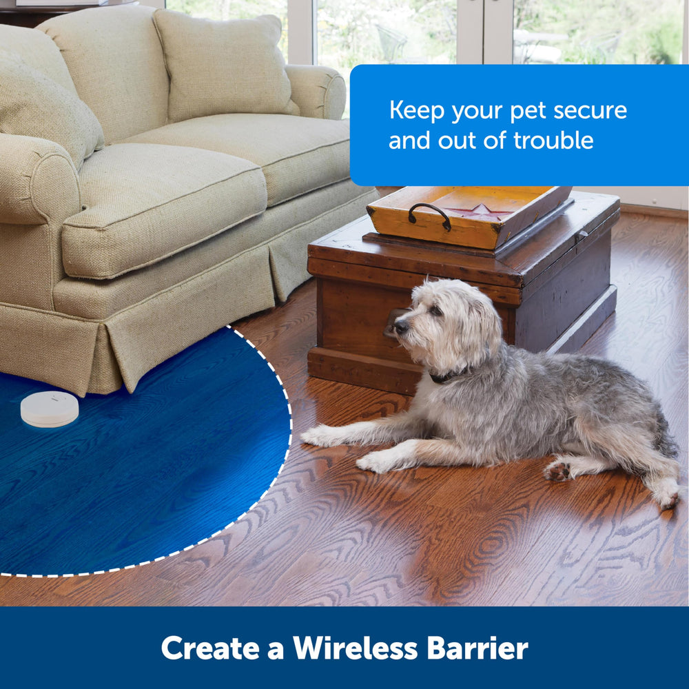 PetSafe transmetteur placé en cuisine pour protéger zones sensibles