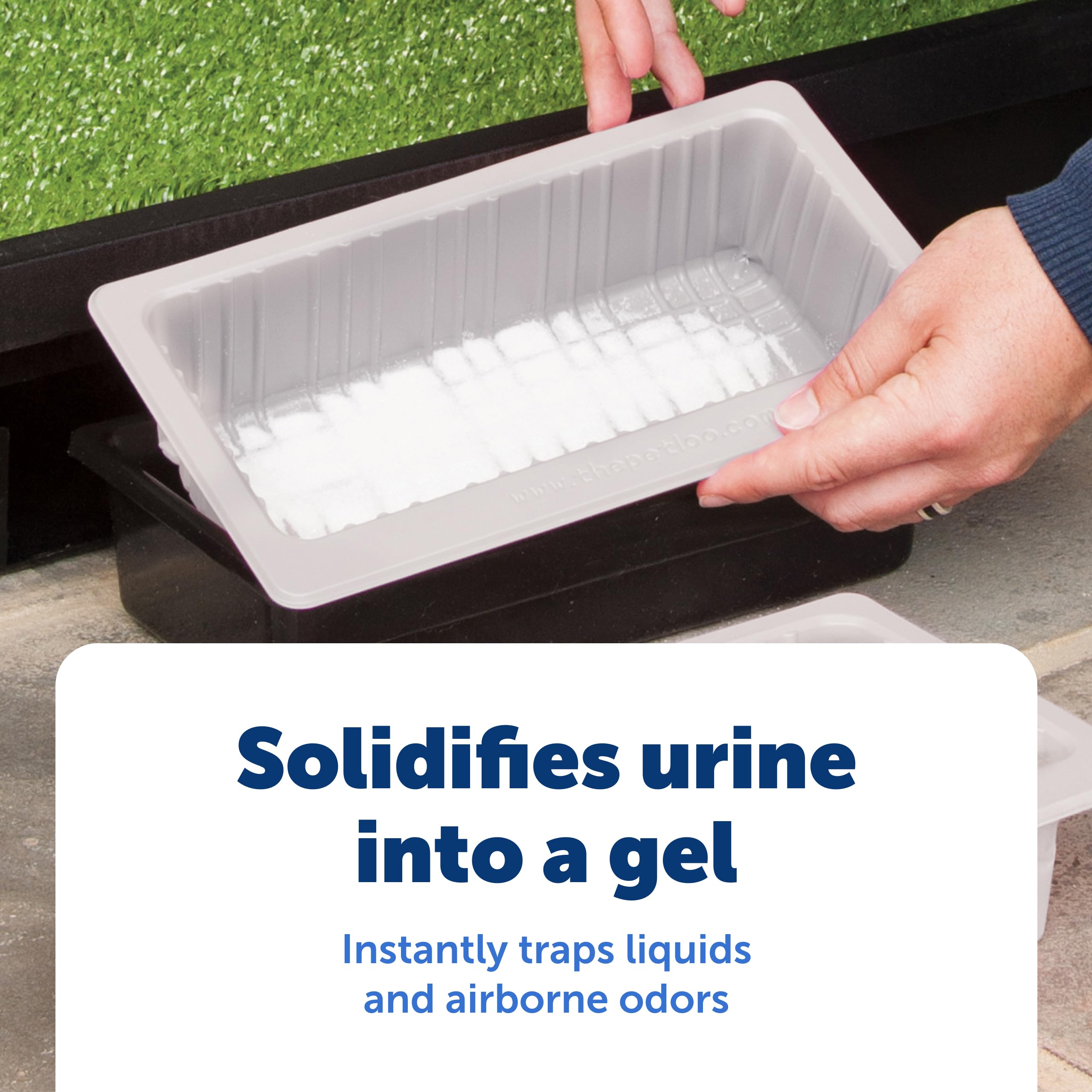 PetSafe gros plan du poudre Wee Sponge montrant l’absorption rapide