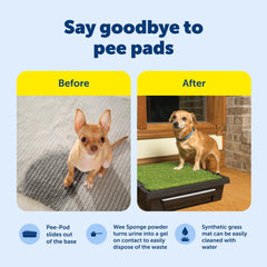 PetSafe Pee-Pod extrait illustrant la vidange facile et hygie9nique